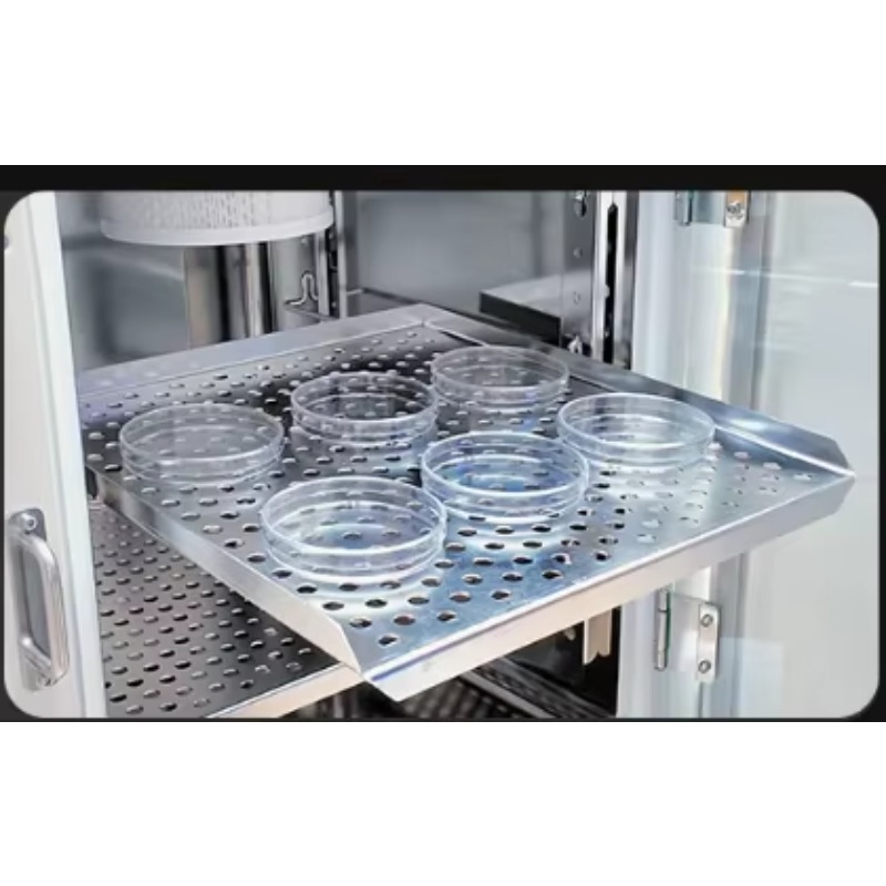 حاضنة CO2 مختبرية احترافية عال - مراجعة Lab Incubator وسعره